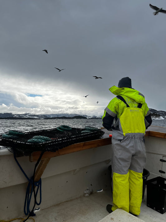 Slik velger du riktig teine – for krabbe, hummer eller fisk