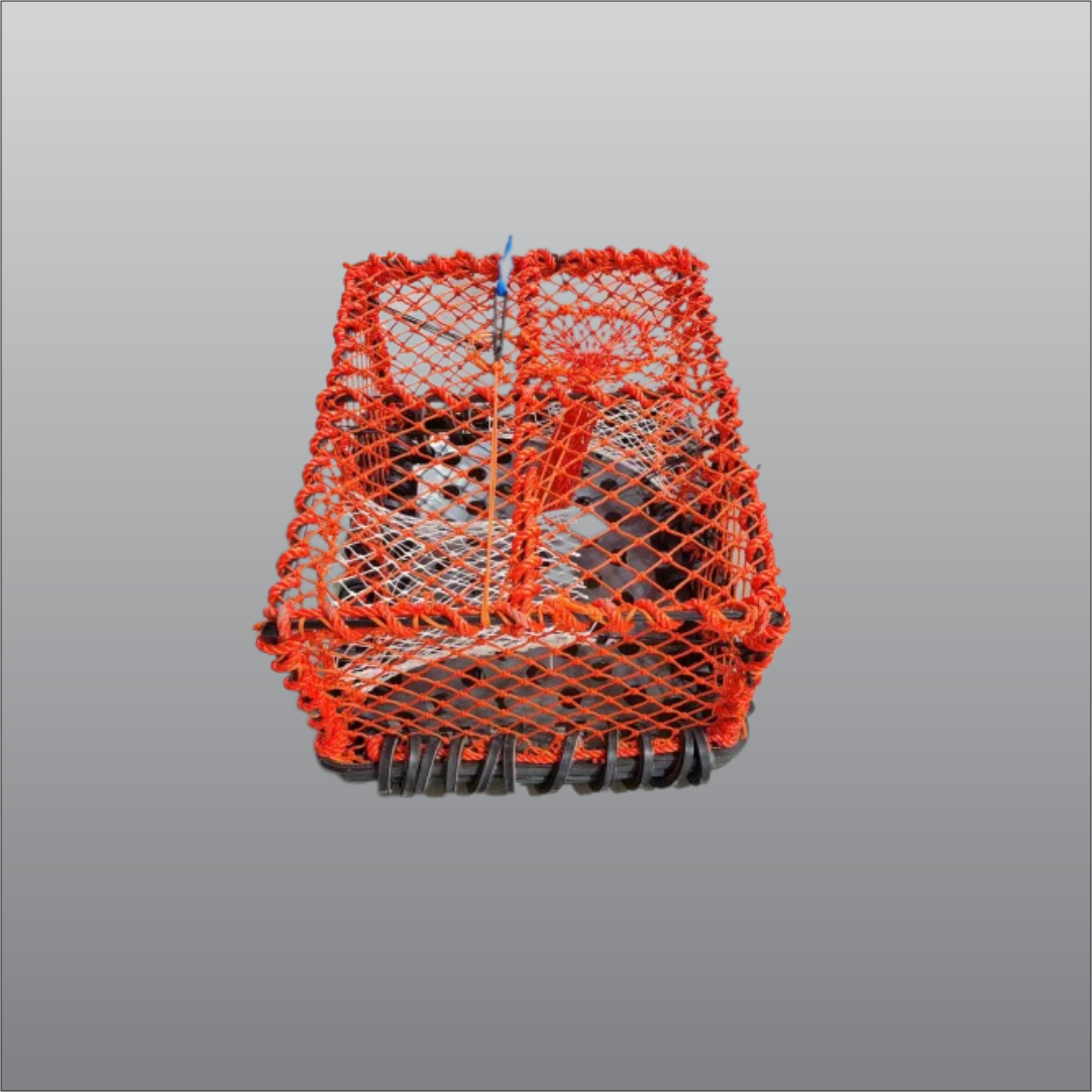Krabbe / Hummerteine 10kg