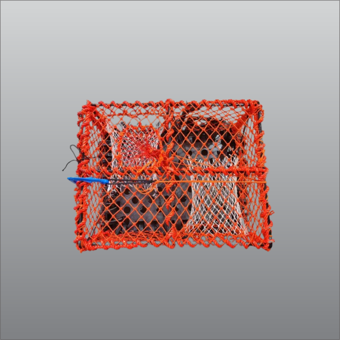 Krabbe / Hummerteine 10kg